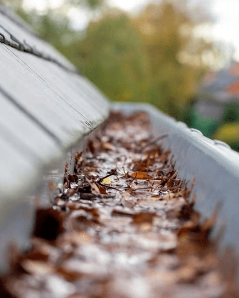 Gutter Cleaning and Repair Houston TX