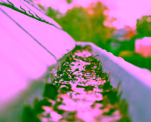 gutter-cleaning-services